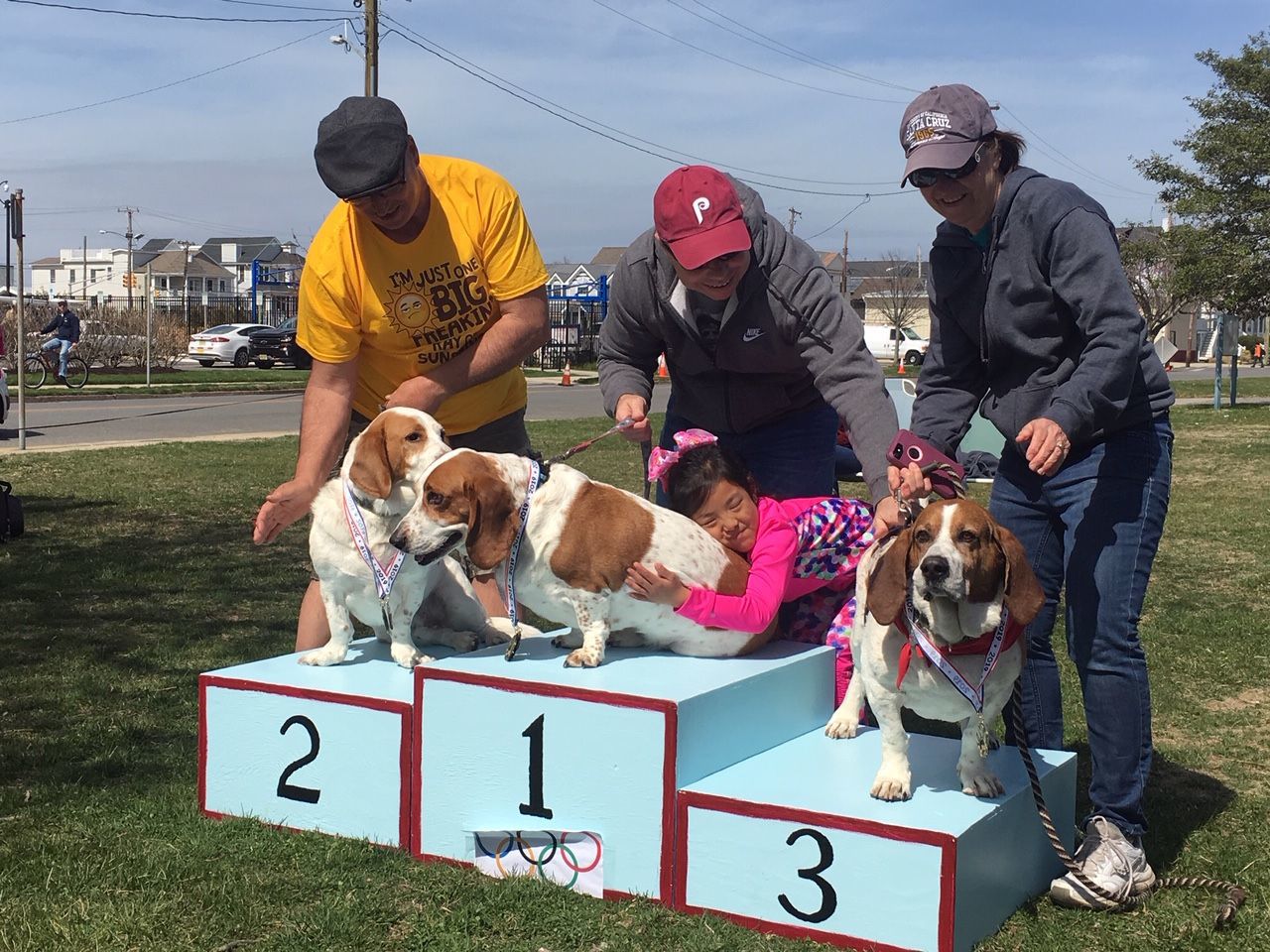 basset 2